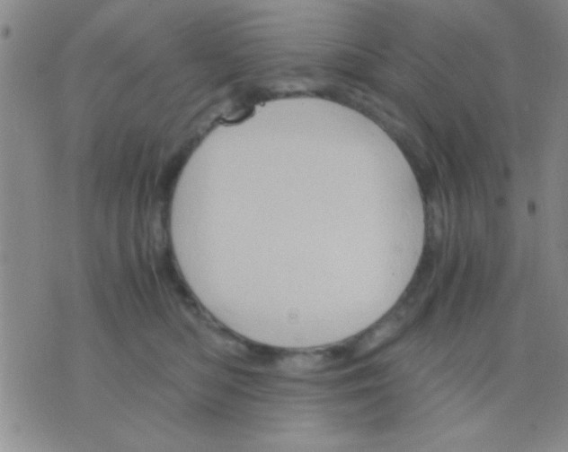 X0000075890422200610151756