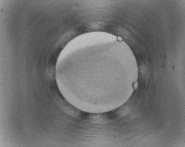 X0000075890423200610151756