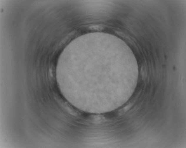 X0000075890424200610151756