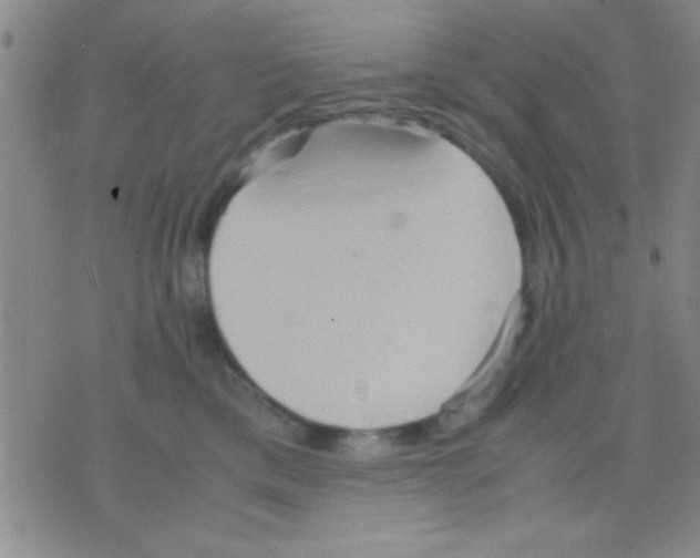 X0000075890425200610151756