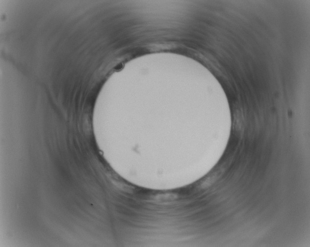 X0000075890426200610151756