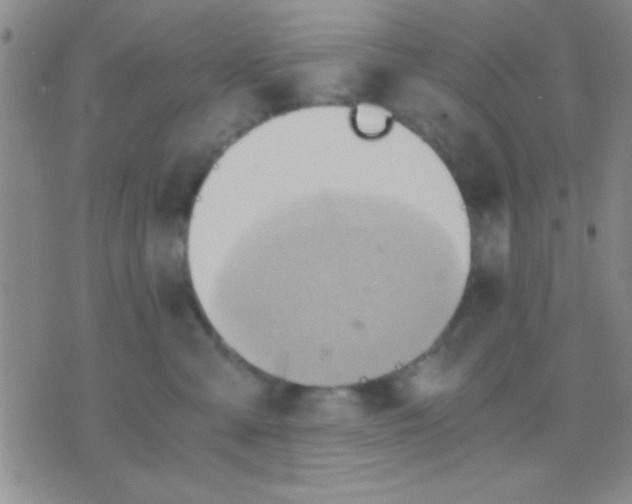 X0000075890427200610151756