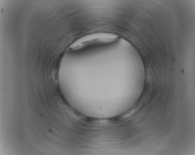 X0000075890428200610151756