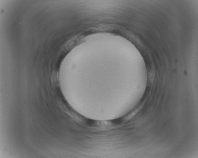 X0000075890429200610151756