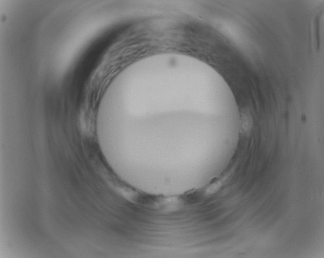 X0000075890431200610151756