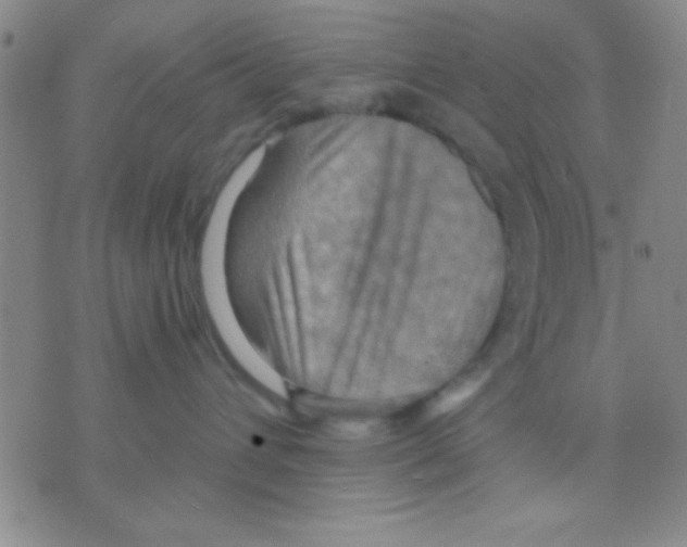 X0000075890432200610151756