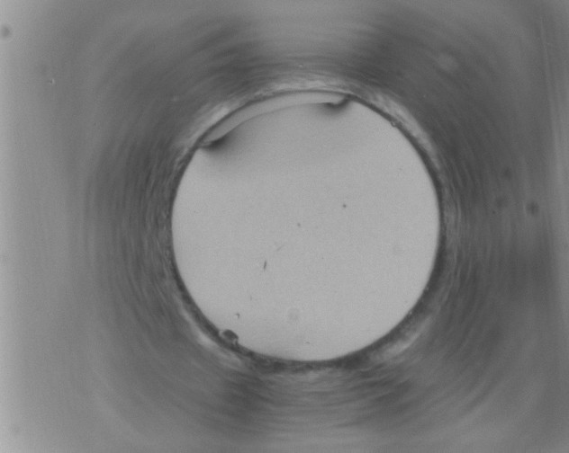 X0000075890433200610151755