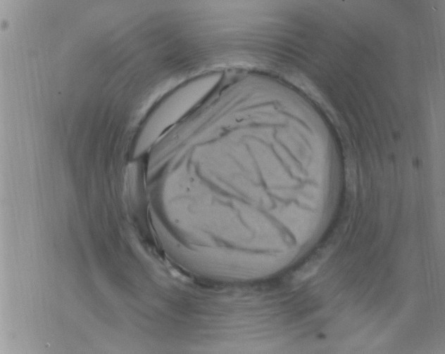 X0000075890434200610151755