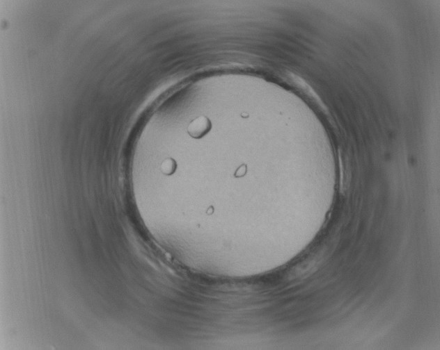 X0000075890435200610151755