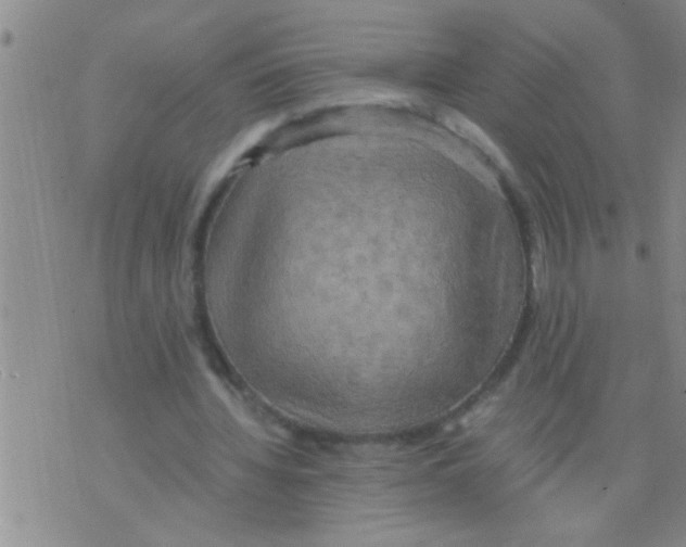 X0000075890436200610151755