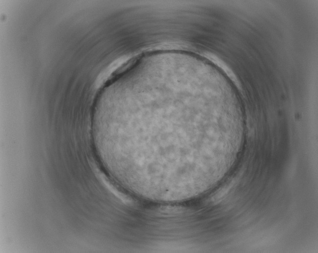 X0000075890437200610151755