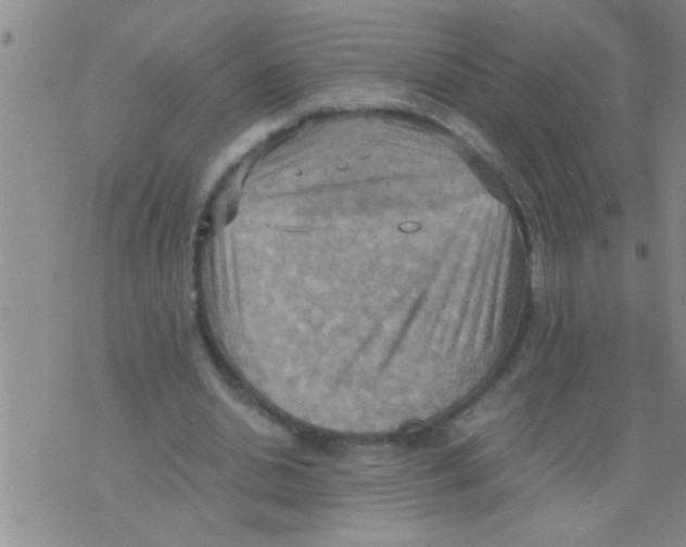 X0000075890438200610151755