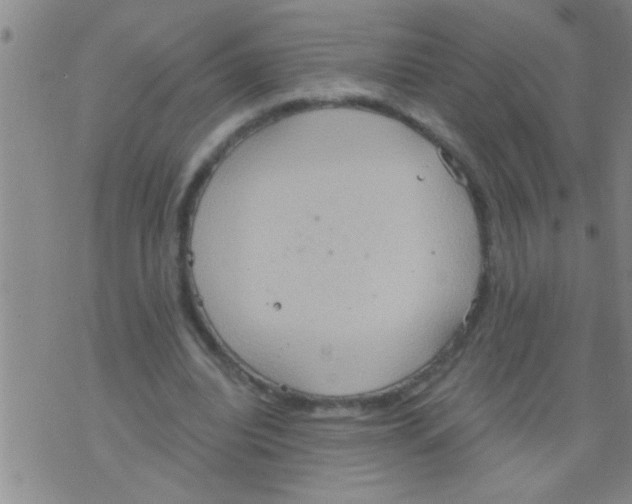 X0000075890440200610151755