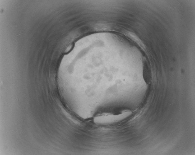 X0000075890441200610151755