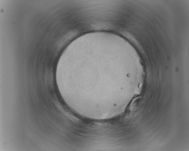 X0000075890442200610151755