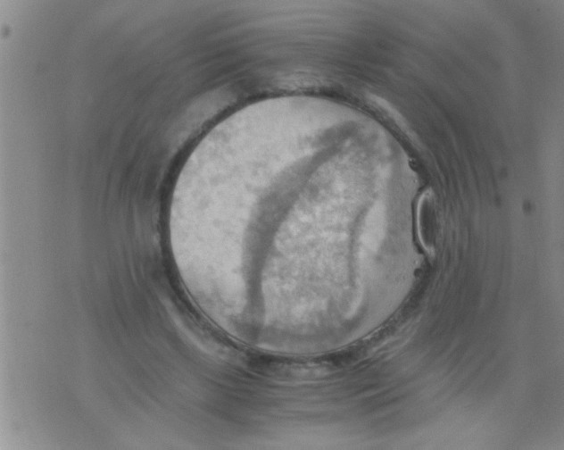 X0000075890443200610151755