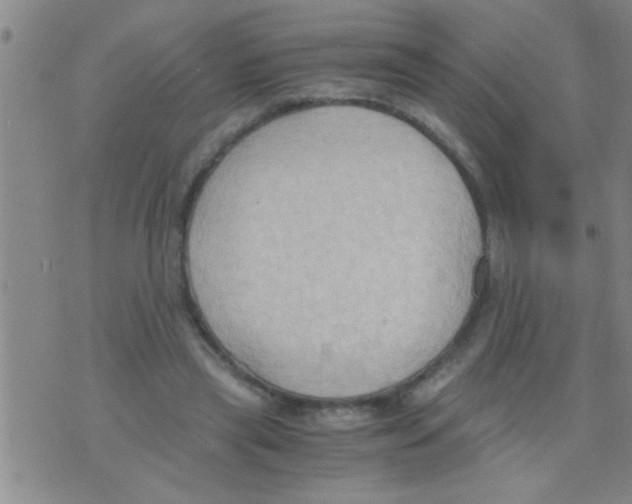 X0000075890445200610151755