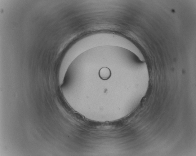 X0000075890448200610151755