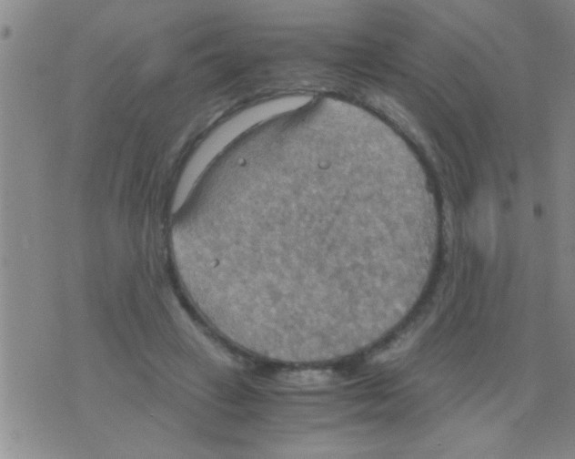 X0000075890449200610151755