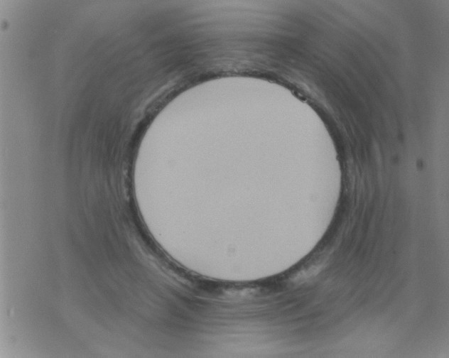 X0000075890450200610151755