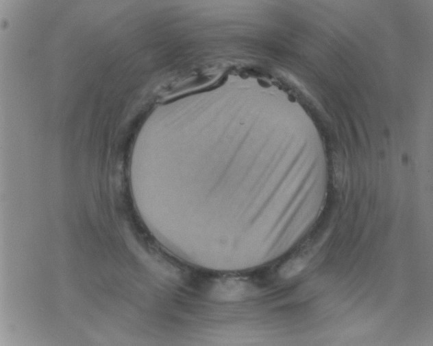 X0000075890451200610151755