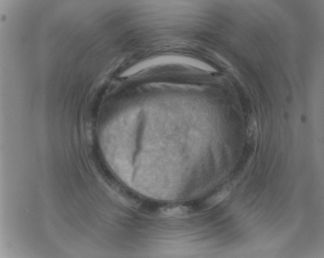 X0000075890452200610151755