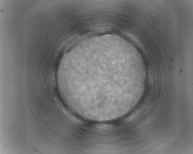 X0000075890453200610151755