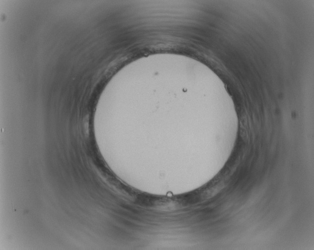 X0000075890454200610151755