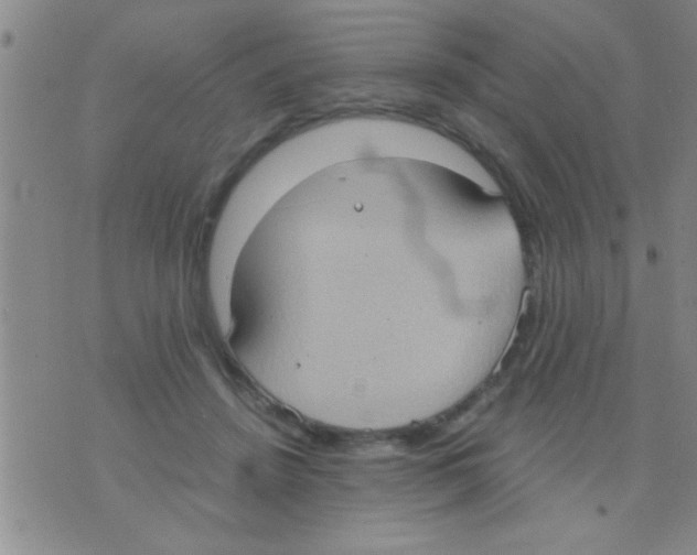 X0000075890456200610151755