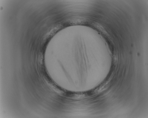 X0000075890458200610151755