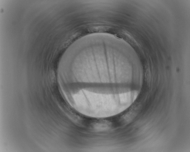 X0000075890459200610151755