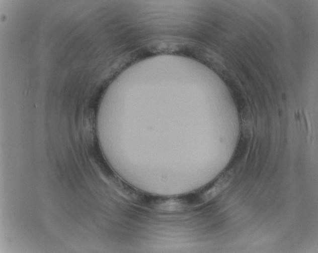 X0000075890460200610151755