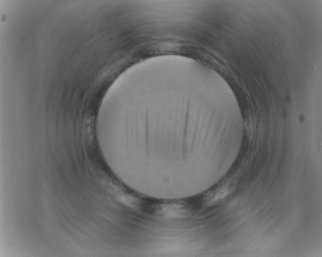 X0000075890462200610151755