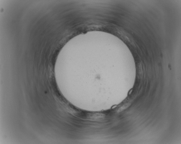 X0000075890463200610151755