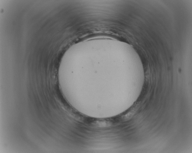 X0000075890464200610151755