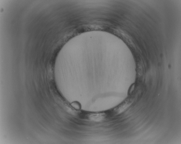 X0000075890465200610151755