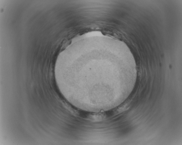 X0000075890466200610151755