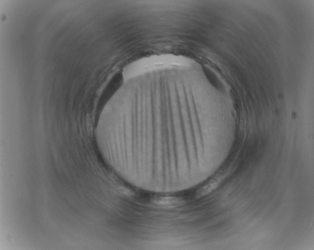 X0000075890467200610151755