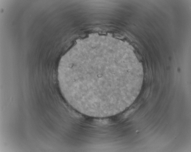 X0000075890469200610151755