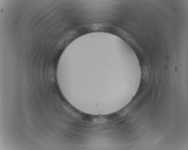 X0000075890470200610151755