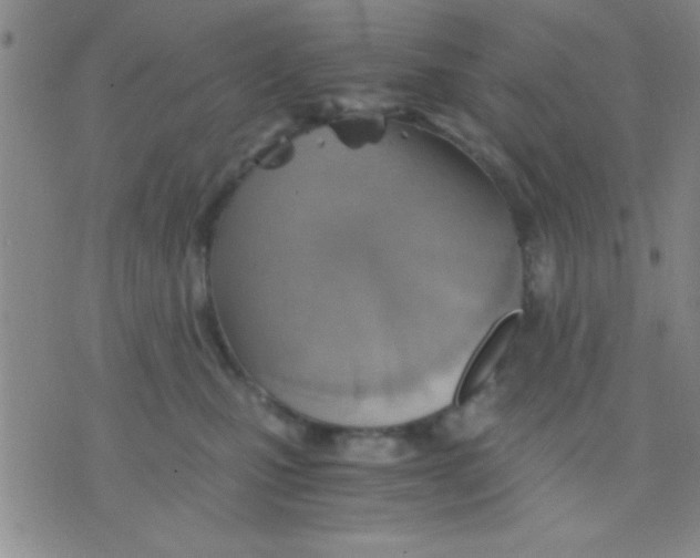 X0000075890471200610151756