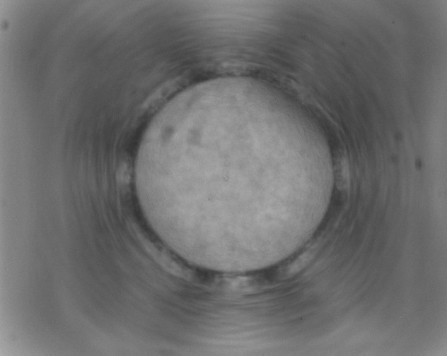 X0000075890472200610151756