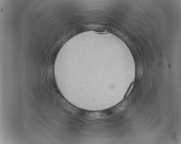 X0000075890473200610151756