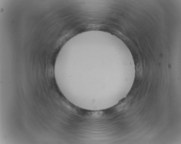 X0000075890474200610151756