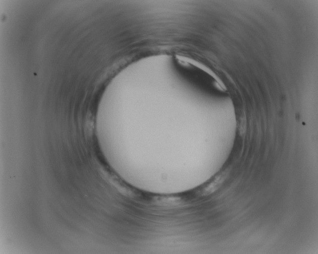 X0000075890476200610151756