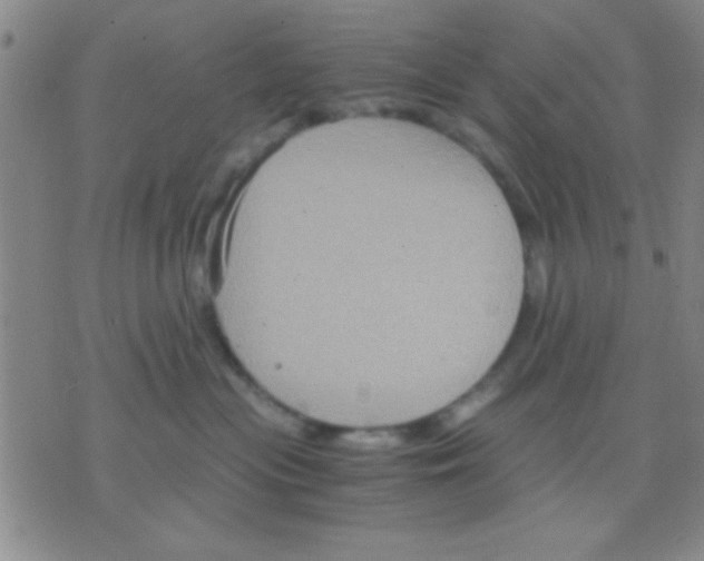 X0000075890477200610151756