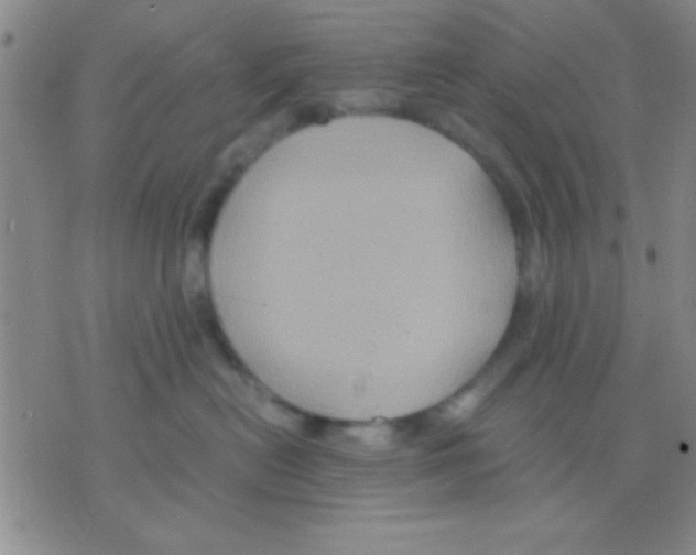 X0000075890478200610151756