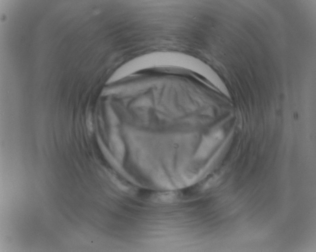 X0000075890479200610151756