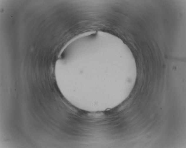 X0000075890480200610151756