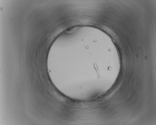 X0000075890481200610151755